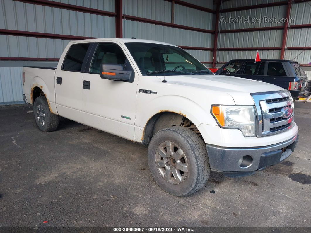 2011 Ford F-150 Xlt White vin: 1FTFW1ET2BKE12669