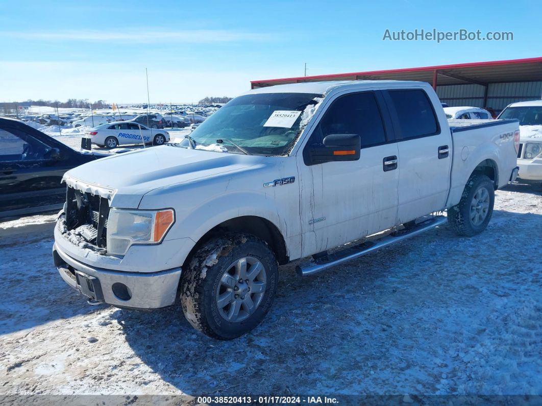 2014 Ford F-150 Xlt White vin: 1FTFW1ET2EFA13239