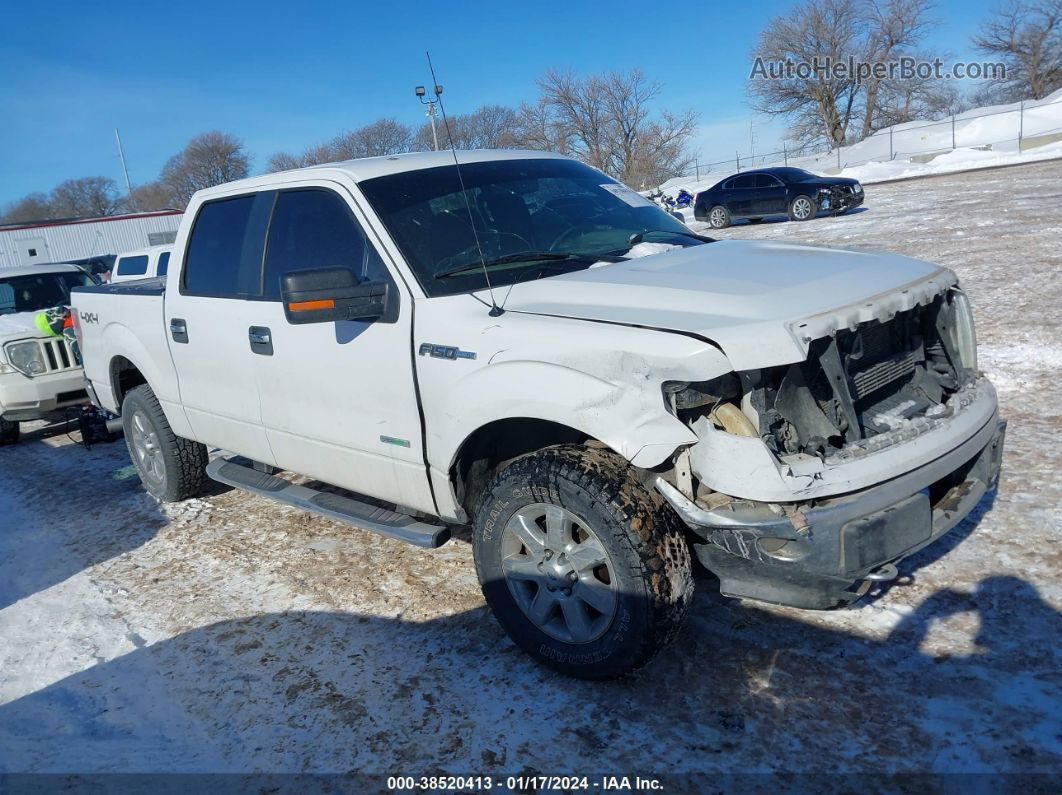 2014 Ford F-150 Xlt White vin: 1FTFW1ET2EFA13239