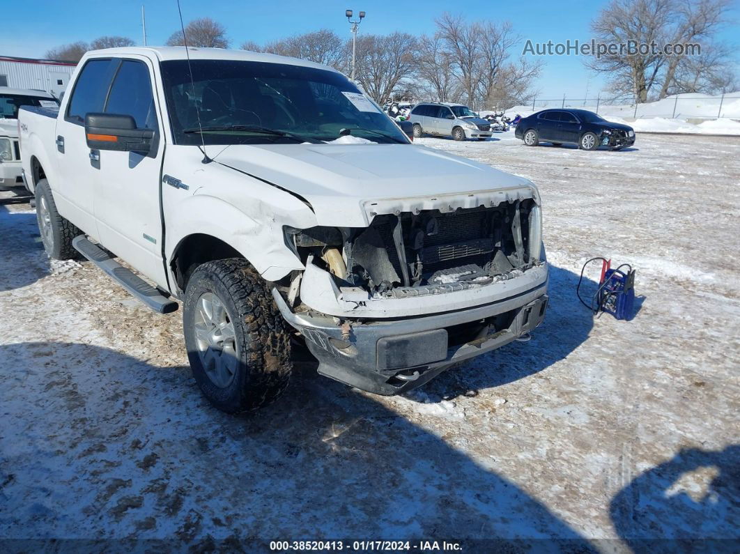 2014 Ford F-150 Xlt Белый vin: 1FTFW1ET2EFA13239