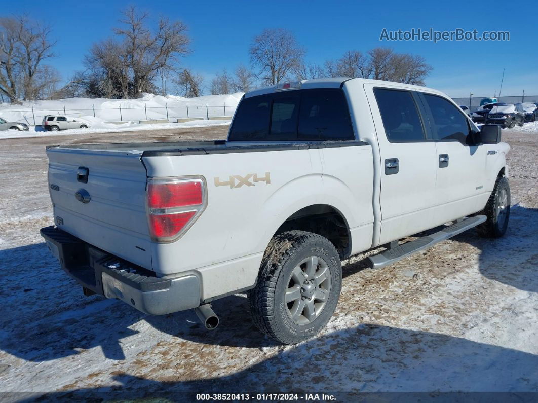 2014 Ford F-150 Xlt White vin: 1FTFW1ET2EFA13239