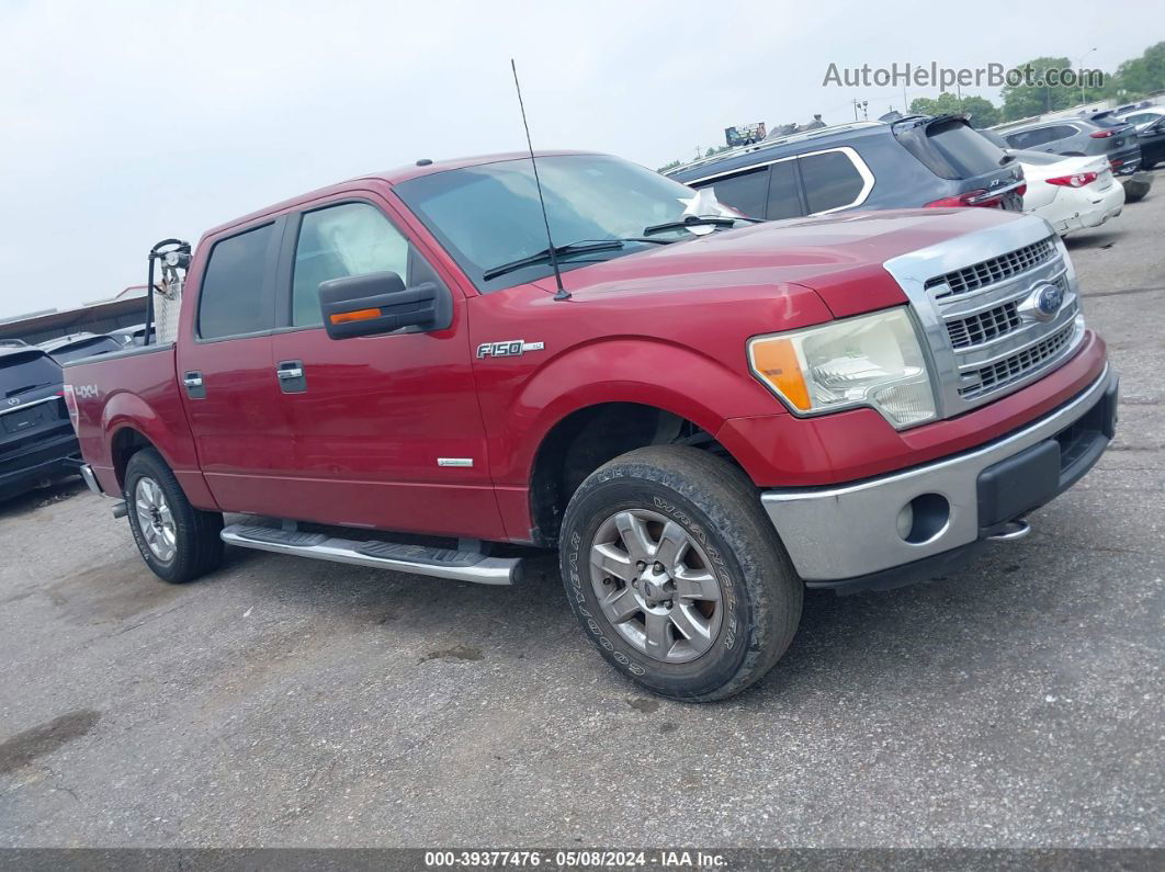 2014 Ford F-150 Xlt Red vin: 1FTFW1ET2EFC68893