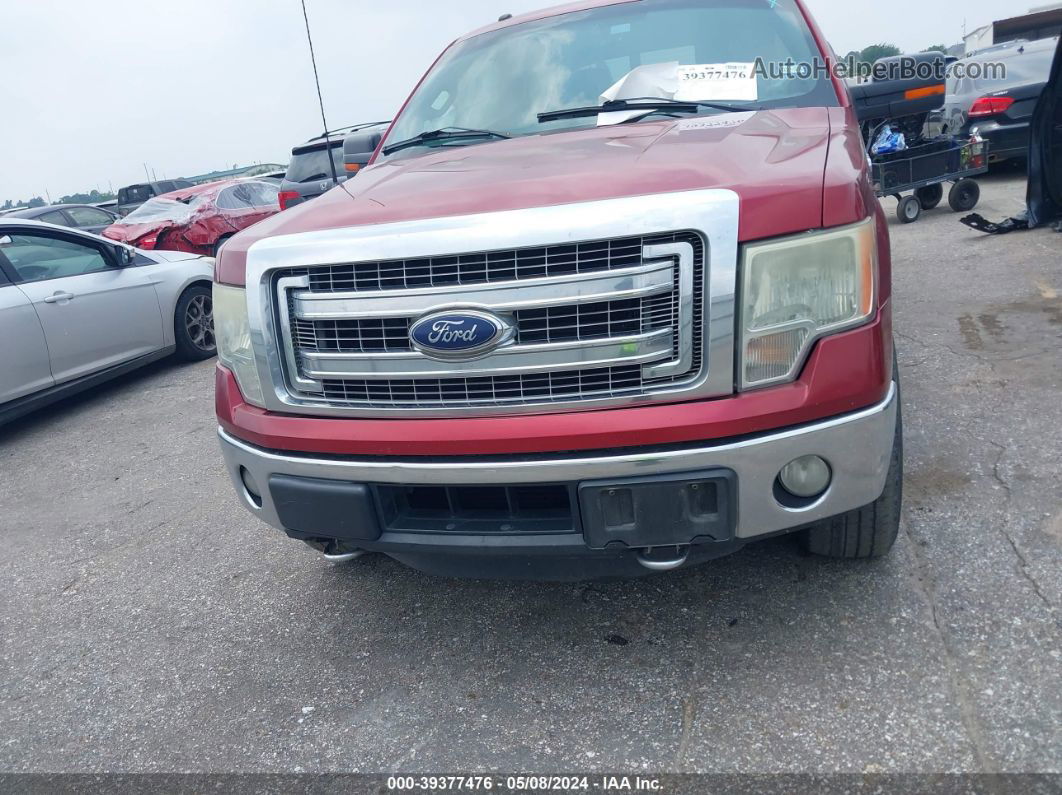 2014 Ford F-150 Xlt Red vin: 1FTFW1ET2EFC68893