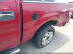 2014 Ford F-150 Xlt Red vin: 1FTFW1ET2EFC68893