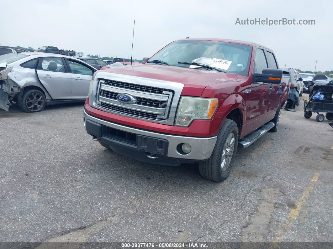 2014 Ford F-150 Xlt Red vin: 1FTFW1ET2EFC68893