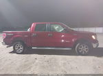 2014 Ford F-150 Xlt Red vin: 1FTFW1ET2EFC68893