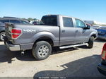 2014 Ford F-150 Xlt Gray vin: 1FTFW1ET2EKD67012