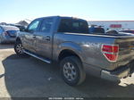 2014 Ford F-150 Xlt Gray vin: 1FTFW1ET2EKD67012