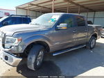 2014 Ford F-150 Xlt Gray vin: 1FTFW1ET2EKD67012