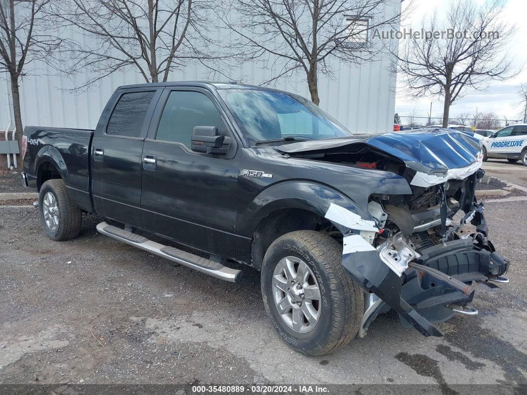 2014 Ford F-150 Xlt Black vin: 1FTFW1ET2EKF30435