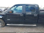 2014 Ford F-150 Xlt Black vin: 1FTFW1ET2EKF30435