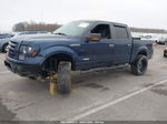 2014 Ford F-150 Xlt Blue vin: 1FTFW1ET2EKG49070