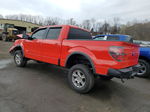 2011 Ford F150 Supercrew Red vin: 1FTFW1ET3BFC37129