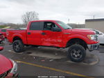 2014 Ford F-150 Xlt Red vin: 1FTFW1ET3EKE09848