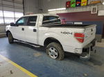 2014 Ford F150 Supercrew White vin: 1FTFW1ET3EKE45605