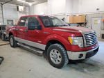 2011 Ford F150 Supercrew Бордовый vin: 1FTFW1ET4BFB17033