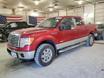 2011 Ford F150 Supercrew Burgundy vin: 1FTFW1ET4BFB17033