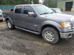 2011 Ford F150 Supercrew Silver vin: 1FTFW1ET4BFB33670