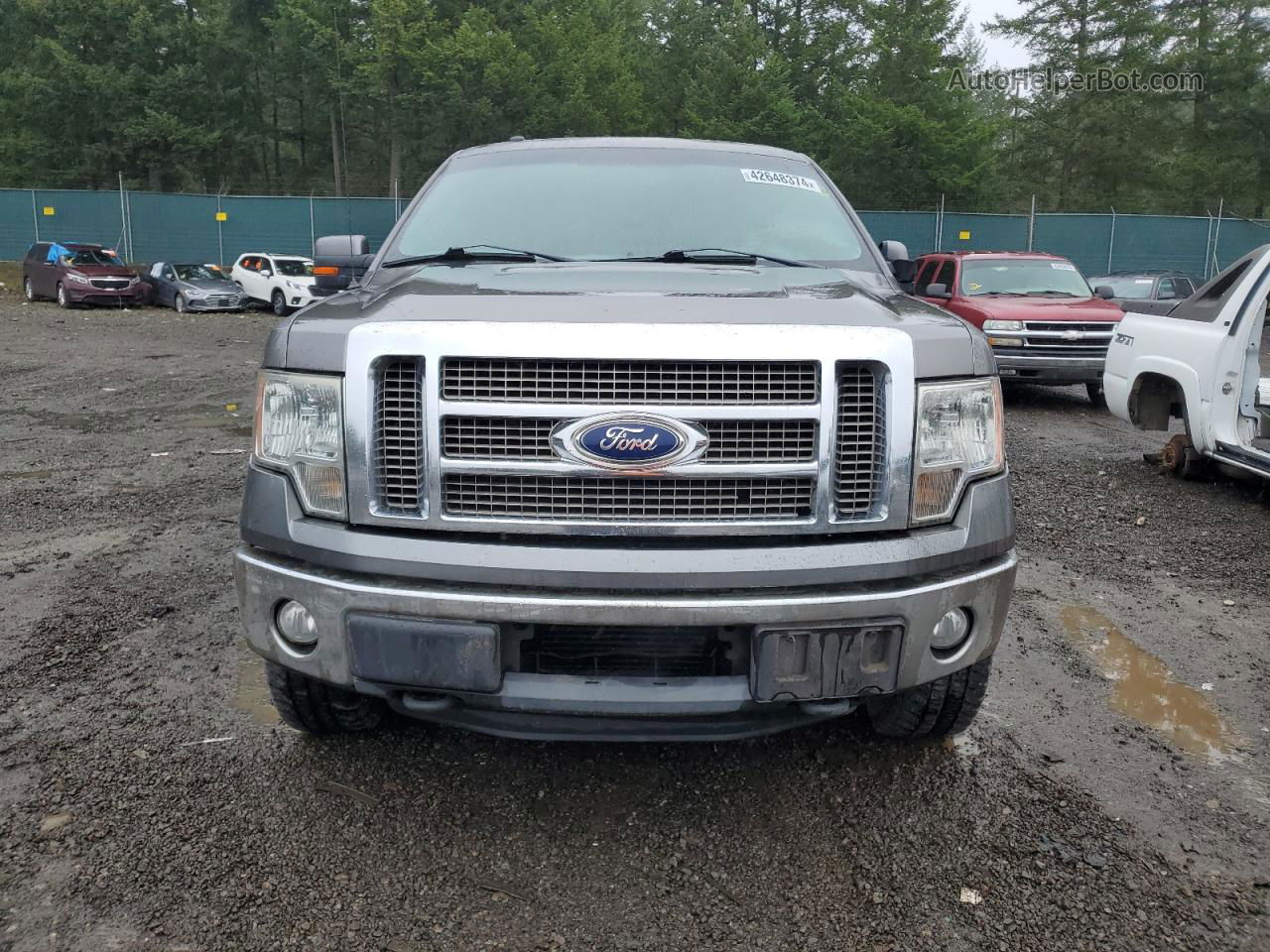 2011 Ford F150 Supercrew Silver vin: 1FTFW1ET4BFB33670