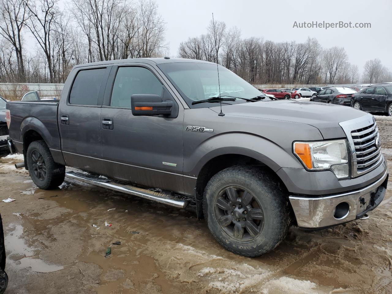 2011 Ford F150 Supercrew Gray vin: 1FTFW1ET4BFC96447