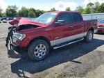 2014 Ford F150 Supercrew Red vin: 1FTFW1ET4EFD08973