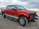 2014 Ford F150 Supercrew Burgundy vin: 1FTFW1ET4EKD51961