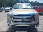 2014 Ford F-150 Xl/xlt/fx4/lariat Silver vin: 1FTFW1ET4EKE92237