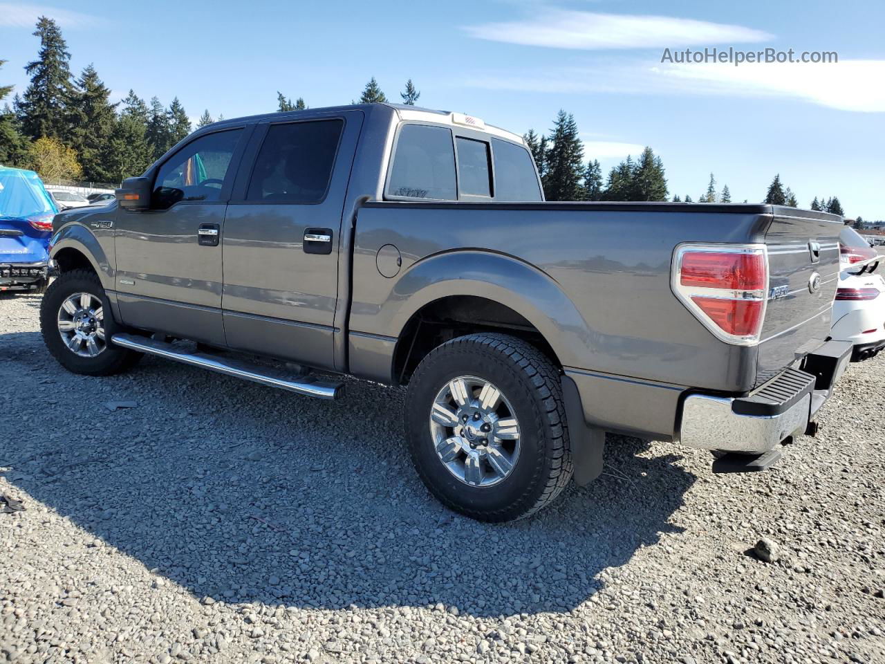 2011 Ford F150 Supercrew Gray vin: 1FTFW1ET6BFB22654