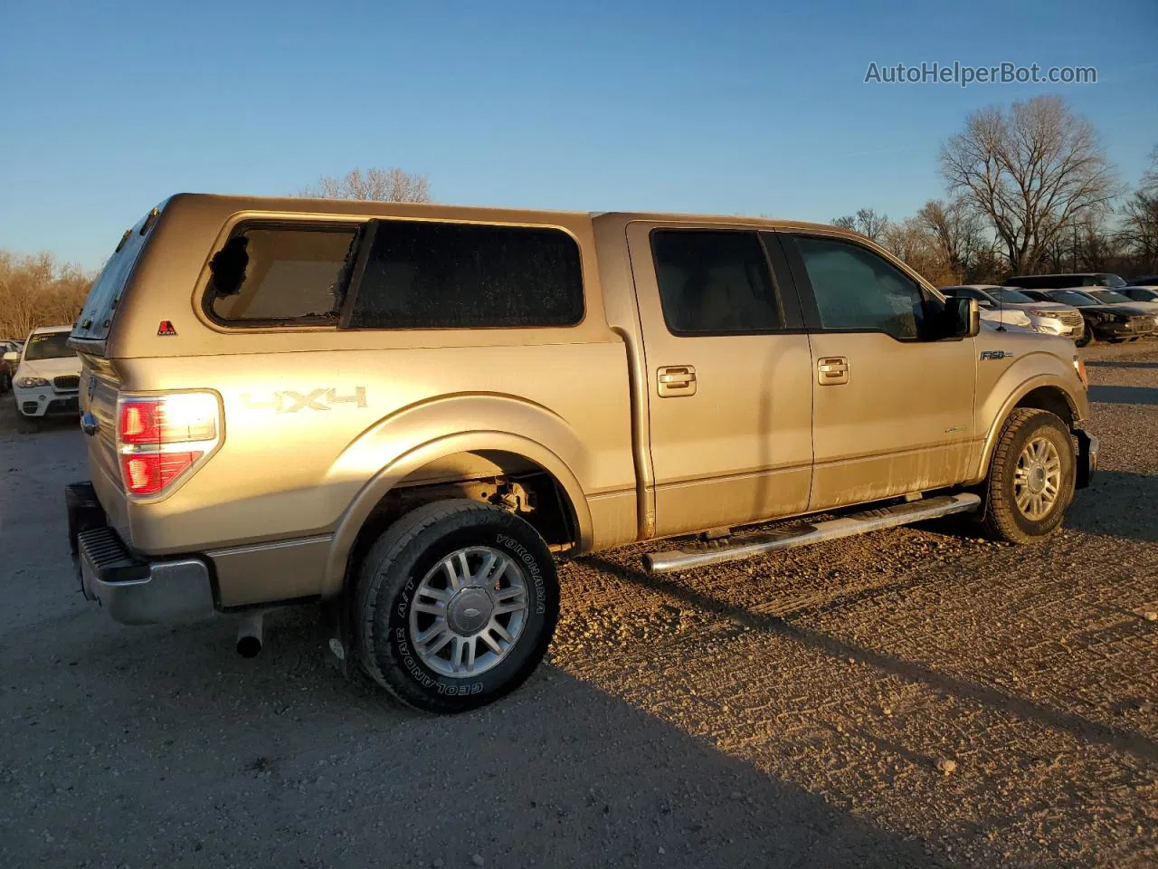 2011 Ford F150 Supercrew Tan vin: 1FTFW1ET6BFB43407