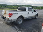 2011 Ford F150 Supercrew White vin: 1FTFW1ET6BFC70528