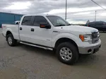 2014 Ford F150 Supercrew White vin: 1FTFW1ET6EFA63013