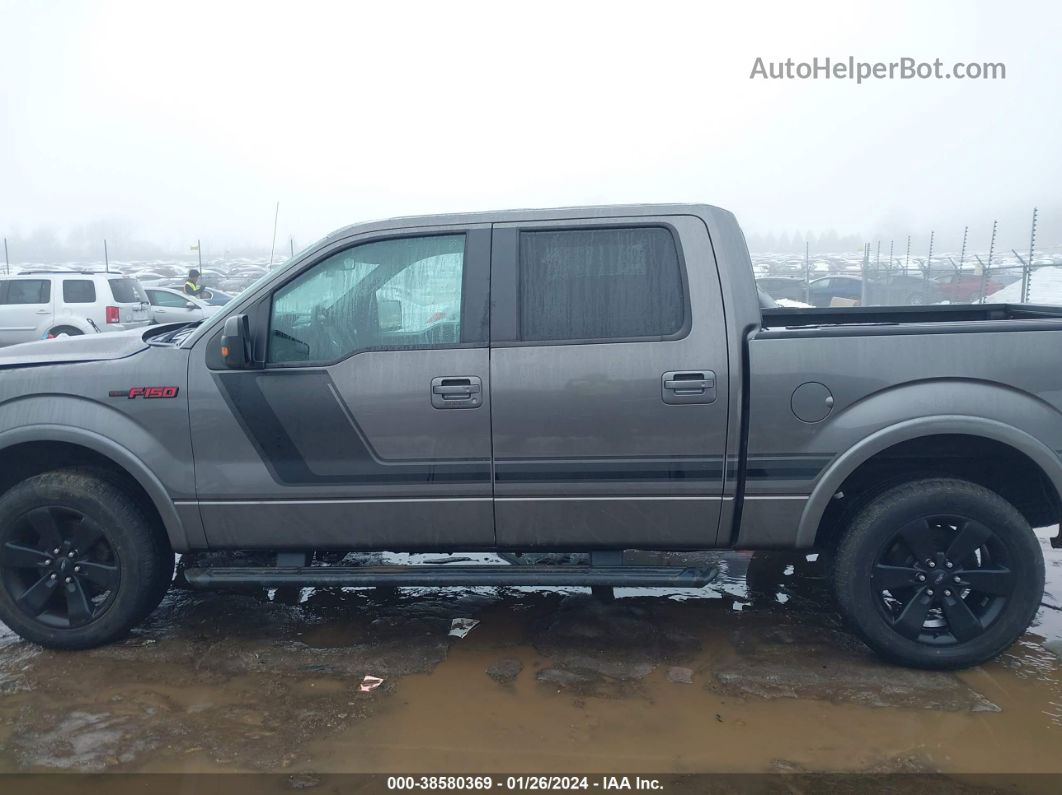 2014 Ford F-150 Fx4 Gray vin: 1FTFW1ET6EFB95947