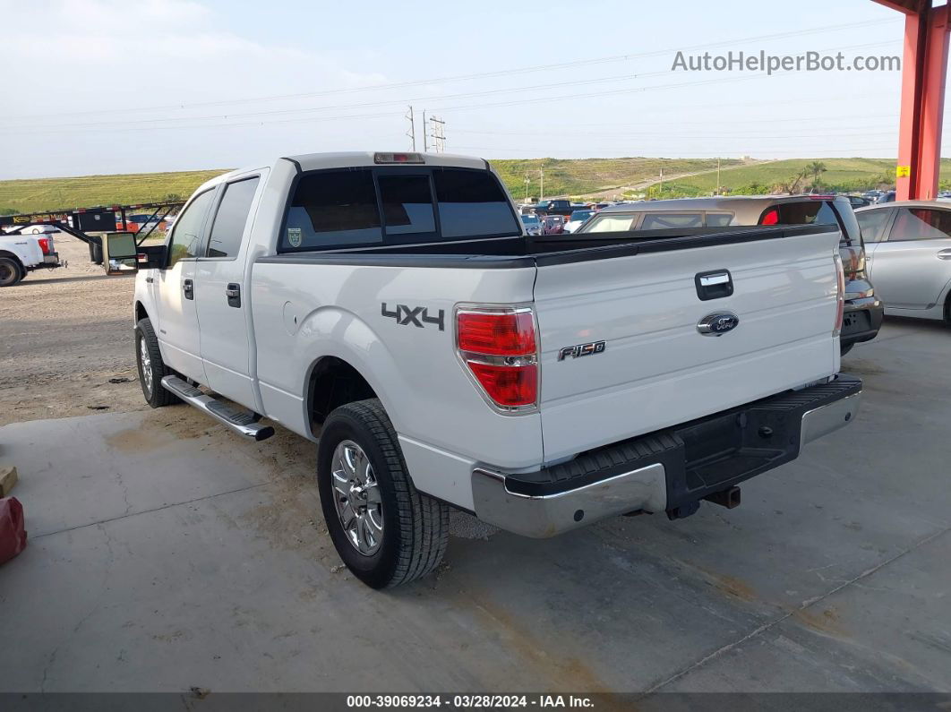 2014 Ford F-150 Xlt White vin: 1FTFW1ET6EKD24244