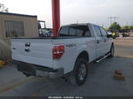 2014 Ford F-150 Xlt White vin: 1FTFW1ET6EKD24244