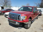 2011 Ford F150 Supercrew Red vin: 1FTFW1ET7BFA85842