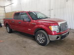 2011 Ford F150 Supercrew Red vin: 1FTFW1ET7BFC86883