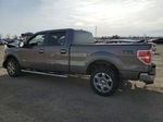 2014 Ford F150 Supercrew Gray vin: 1FTFW1ET7EFC54584