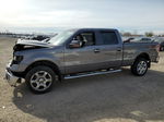 2014 Ford F150 Supercrew Gray vin: 1FTFW1ET7EFC54584