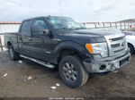 2014 Ford F-150 Xl/xlt/fx4/lariat Black vin: 1FTFW1ET7EKD86672