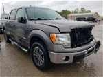 2011 Ford F150 Supercrew Gray vin: 1FTFW1ET8BFC87038