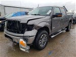 2011 Ford F150 Supercrew Gray vin: 1FTFW1ET8BFC87038