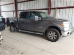 2011 Ford F150 Supercrew Gray vin: 1FTFW1ET8BFC88819
