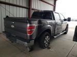 2011 Ford F150 Supercrew Серый vin: 1FTFW1ET8BFC88819