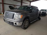 2011 Ford F150 Supercrew Gray vin: 1FTFW1ET8BFC88819