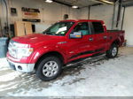 2014 Ford F-150 Xl/xlt/fx4/lariat Red vin: 1FTFW1ET8EFB24510