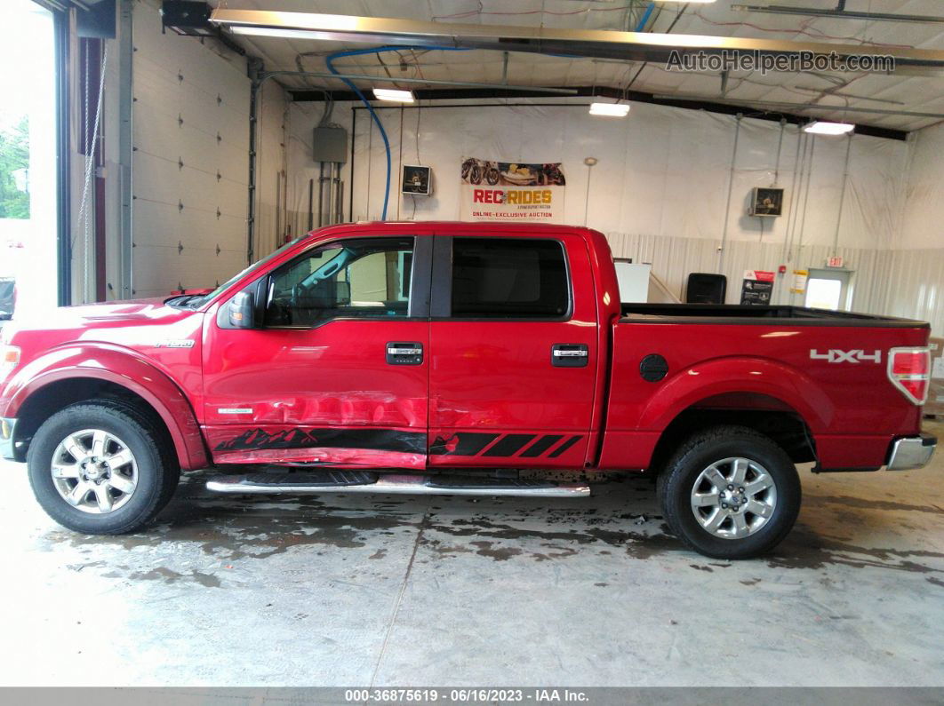 2014 Ford F-150 Xl/xlt/fx4/lariat Red vin: 1FTFW1ET8EFB24510