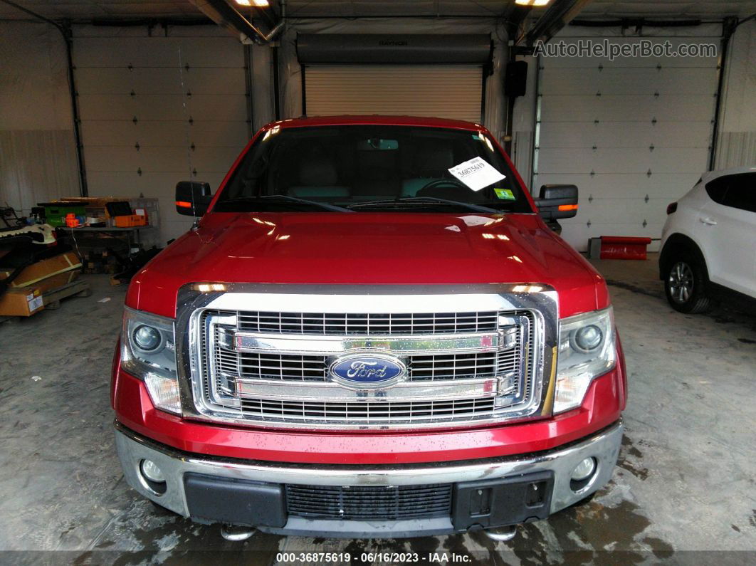 2014 Ford F-150 Xl/xlt/fx4/lariat Red vin: 1FTFW1ET8EFB24510