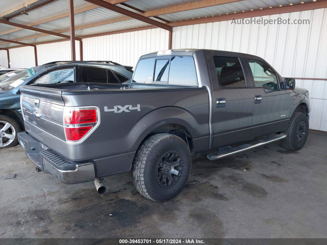 2014 Ford F-150 Xlt Gray vin: 1FTFW1ET8EFB31828