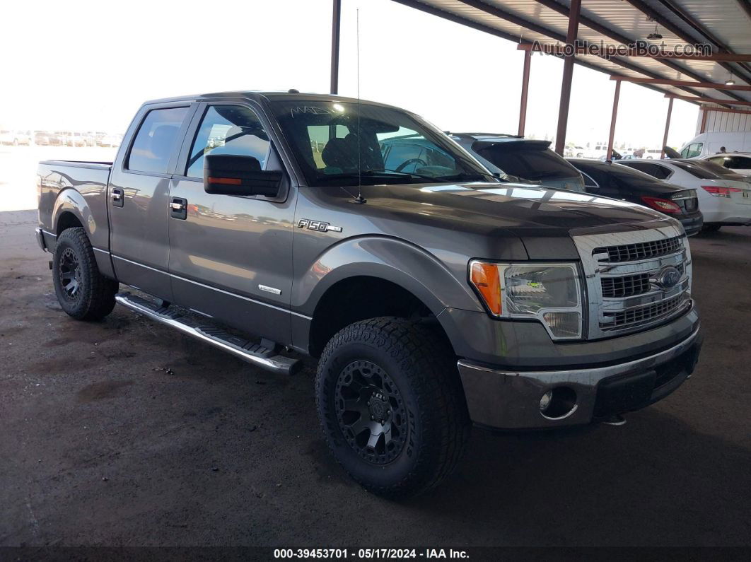 2014 Ford F-150 Xlt Gray vin: 1FTFW1ET8EFB31828