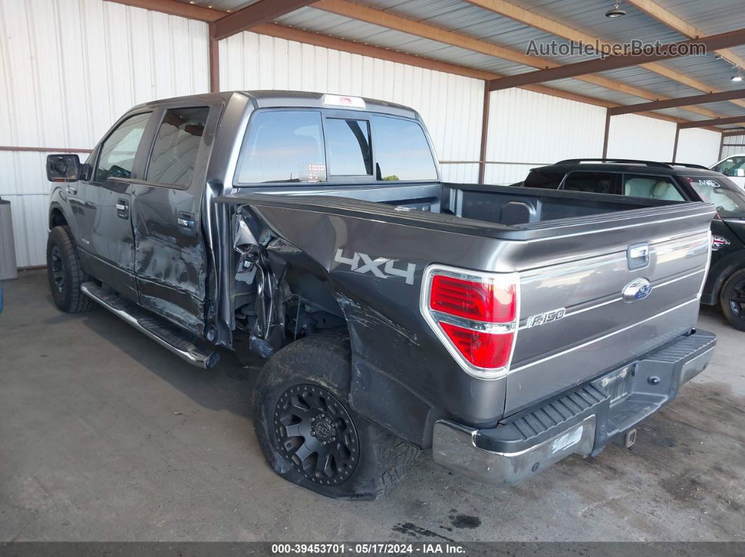 2014 Ford F-150 Xlt Gray vin: 1FTFW1ET8EFB31828